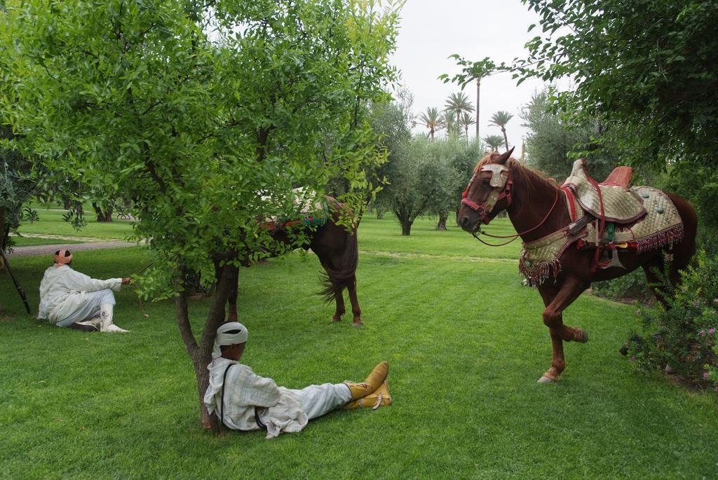 Dar Jl Villa Marrakesh Ngoại thất bức ảnh